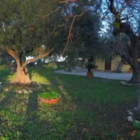 Διαμέρισμα 